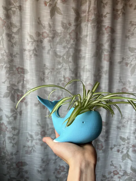 Chậu trồng cây hình cá voi 3D độc đáo trang trí bàn làm việc - Image 2