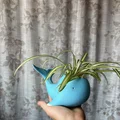 Chậu trồng cây hình cá voi 3D độc đáo trang trí bàn làm việc - Thumbnail 2