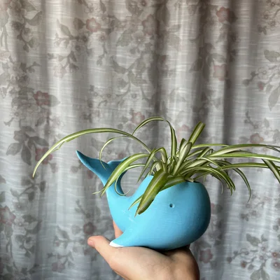 Chậu trồng cây hình cá voi 3D độc đáo trang trí bàn làm việc