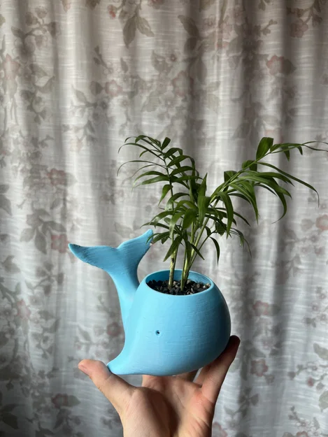 Chậu trồng cây hình cá voi 3D độc đáo trang trí bàn làm việc - Image 3