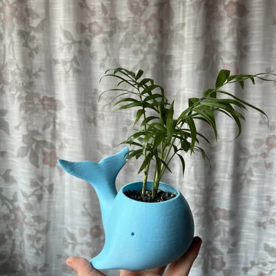 Chậu trồng cây hình cá voi 3D độc đáo trang trí bàn làm việc