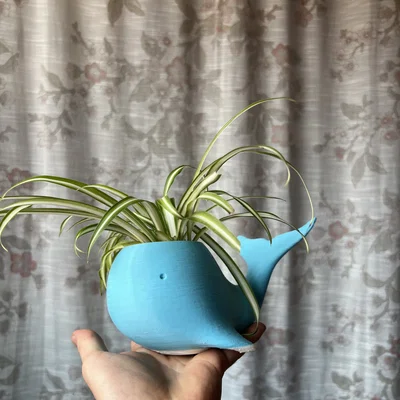 Chậu trồng cây hình cá voi 3D độc đáo trang trí bàn làm việc