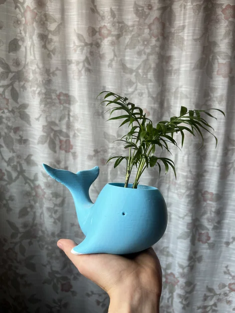 Chậu trồng cây hình cá voi 3D độc đáo trang trí bàn làm việc - Image 5