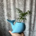 Chậu trồng cây hình cá voi 3D độc đáo trang trí bàn làm việc - Thumbnail 5