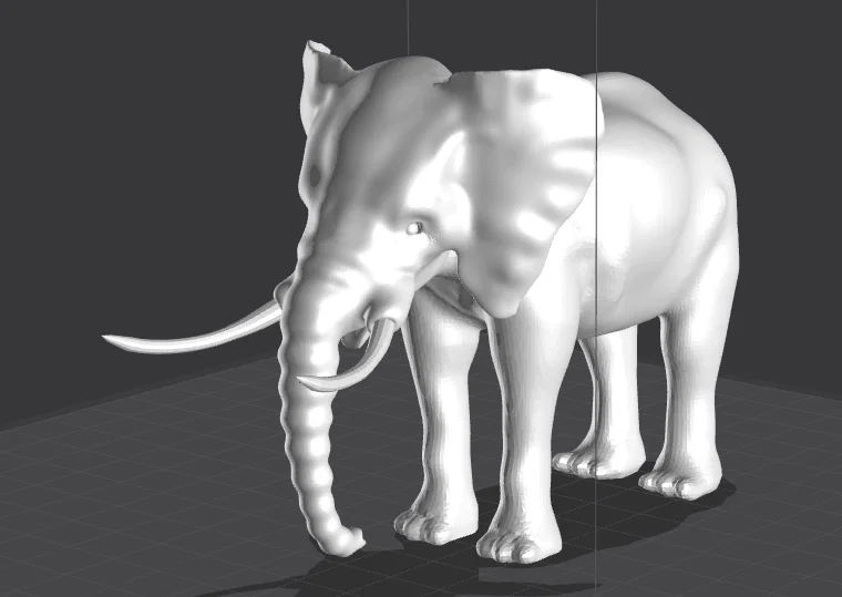 Voi (Elephant) - Image 1