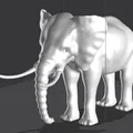 Voi (Elephant) - Thumbnail 1