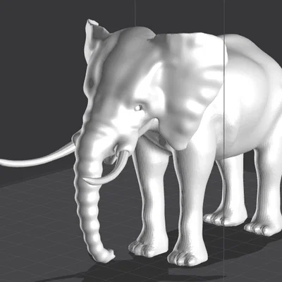 Voi (Elephant)