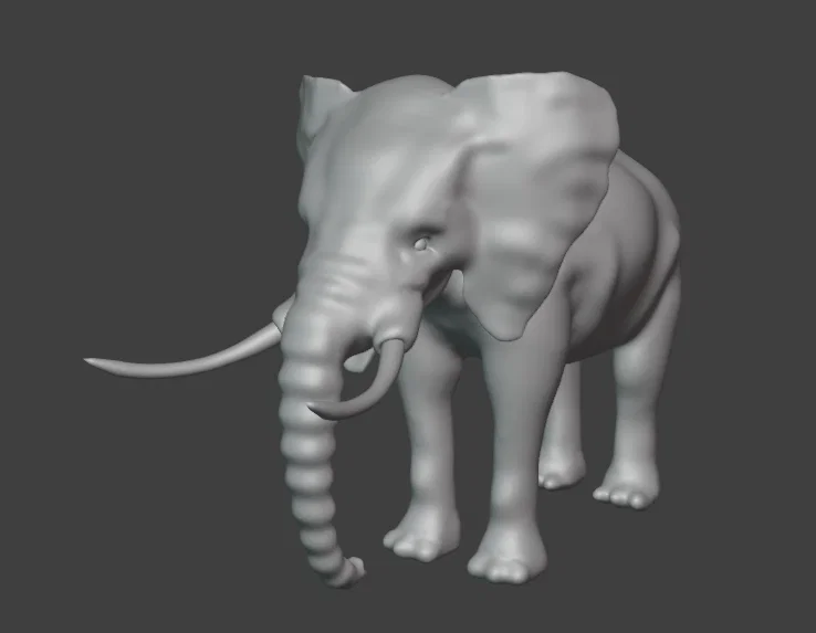 Voi (Elephant) - Image 2