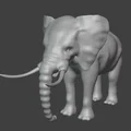 Voi (Elephant) - Thumbnail 2