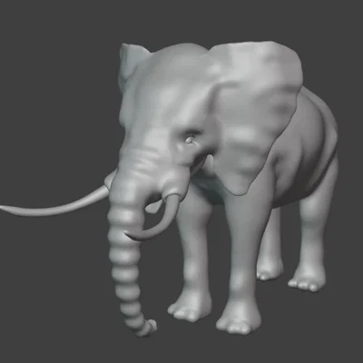 Voi (Elephant)