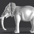 Voi (Elephant) - Thumbnail 3