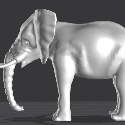Voi (Elephant)