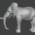 Voi (Elephant) - Thumbnail 4