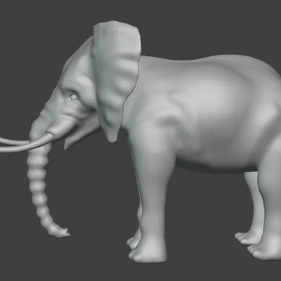 Voi (Elephant)