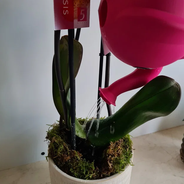 Bình tưới cây hình voi (Elephant watering can) - Image 3