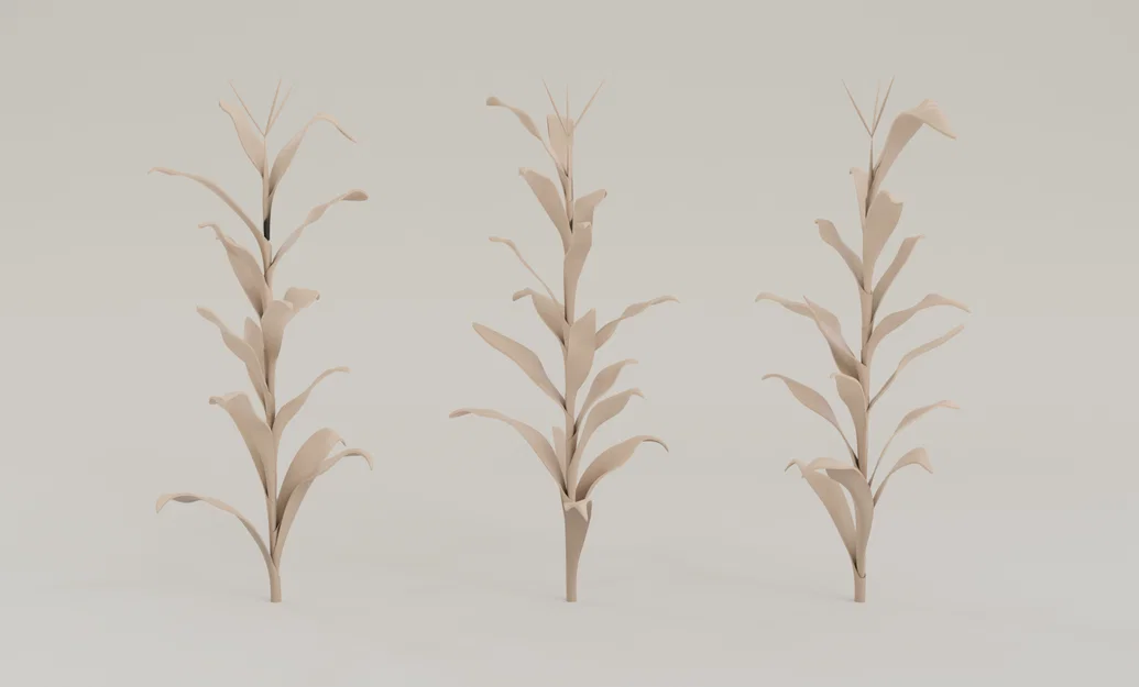 Mô hình cây bắp 3D (Corn Plant) dùng cho sa bàn và tiểu cảnh - Image 1