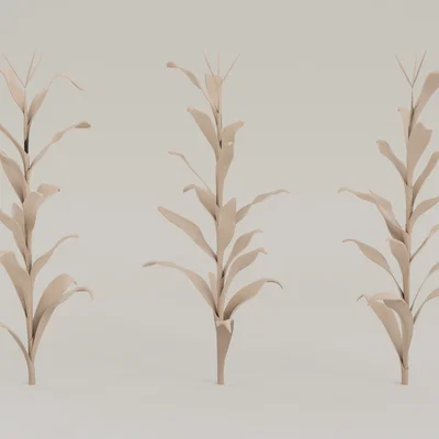 Mô hình cây bắp 3D (Corn Plant) dùng cho sa bàn và tiểu cảnh