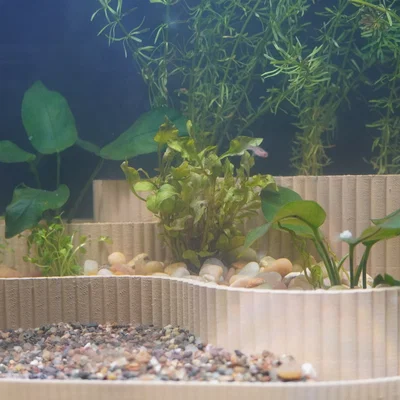 Aquarium Planter Tiered Aquascape – Chậu trồng cây phân tầng cho bể cá