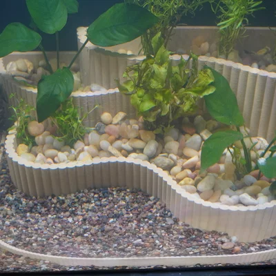 Aquarium Planter Tiered Aquascape – Chậu trồng cây phân tầng cho bể cá