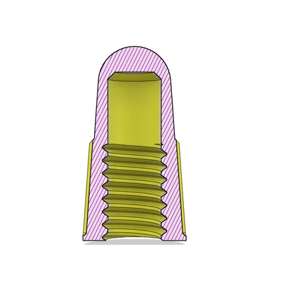Nắp van Presta (Presta Valve Cap)