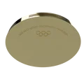 Huy chương Olympic Paris 2024 (2024 Paris Olympic medal) - Thumbnail 2