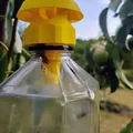 Bẫy ong bắp cày, ong vàng cho chai nhựa PET in 3D hiệu quả - Thumbnail 3