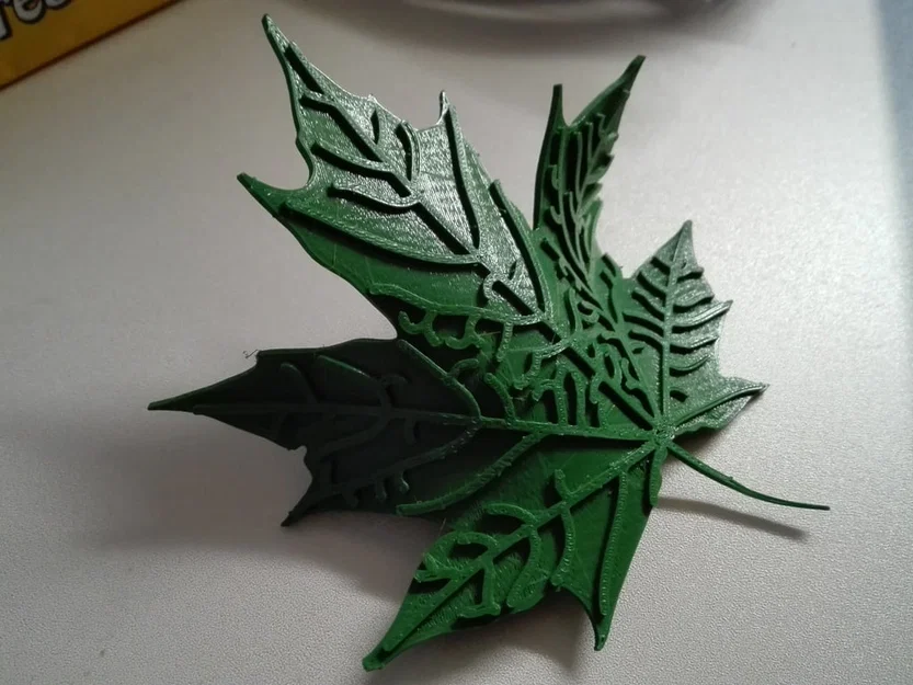 Lá Phong (Maple Leaf) - Image 1