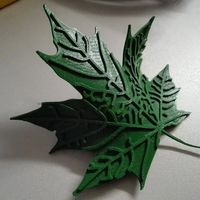 Lá Phong (Maple Leaf)