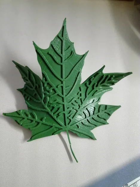 Lá Phong (Maple Leaf) - Image 3