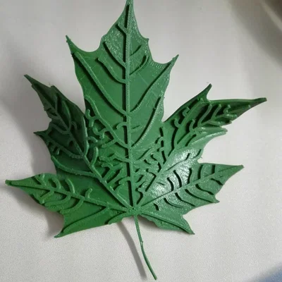 Lá Phong (Maple Leaf)