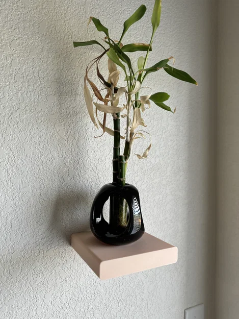 Kệ Treo Tường Nổi (Floating Wall Shelf) - Image 1