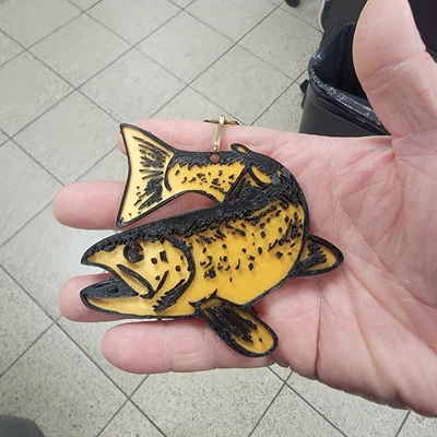 Huy Chương Câu Cá (Fishing Medal)