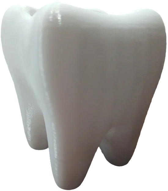 Ống cắm bút hình răng hàm (Muela Portalápices) - Image 1
