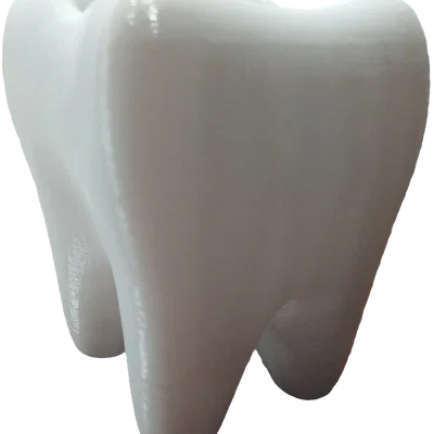 Ống cắm bút hình răng hàm (Muela Portalápices)