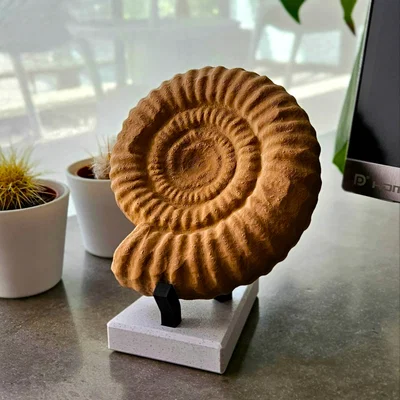 Tượng Ammonite (Ammonite sculpture)