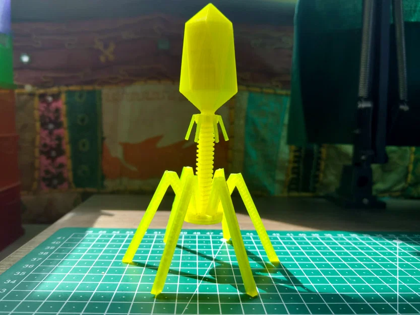 Mô hình Bacteriophage (virus ăn vi khuẩn) để trưng bày - Image 1