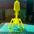 Mô hình Bacteriophage (virus ăn vi khuẩn) để trưng bày - Thumbnail 1