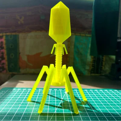 Mô hình Bacteriophage (virus ăn vi khuẩn) để trưng bày