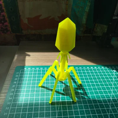 Mô hình Bacteriophage (virus ăn vi khuẩn) để trưng bày