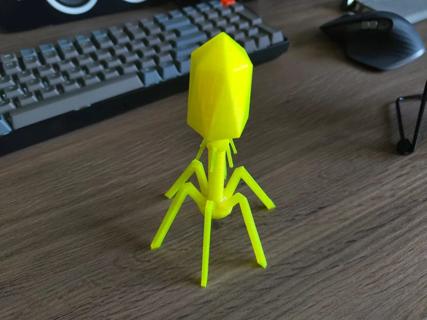 Mô hình Bacteriophage (virus ăn vi khuẩn) để trưng bày - Image 3