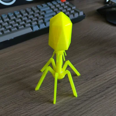 Mô hình Bacteriophage (virus ăn vi khuẩn) để trưng bày