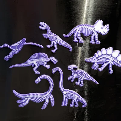 Nam châm Xương Khủng Long (Dinosaur Bones Magnets)