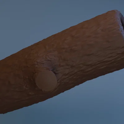 Mô hình khúc gỗ (Log) trang trí bể cá và decor bàn làm việc