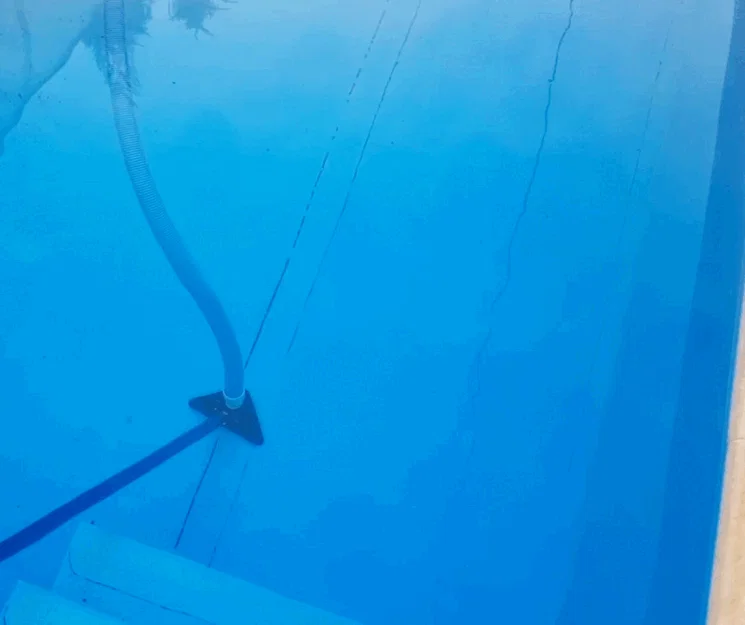 Đầu hút hồ bơi (Pool vacuum cleaner / Bazénový vysavač) - Image 2