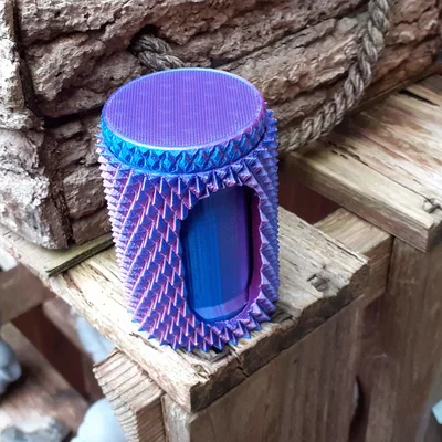 Hộp đựng đồ trang trí 3D họa tiết gai độc đáo