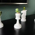 Bộ mô hình chậu cây trang trí hình quân cờ 3D độc đáo - Thumbnail 1