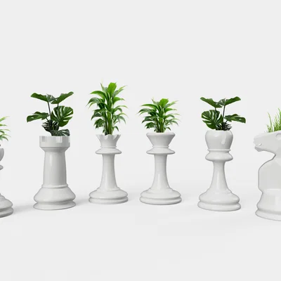 Bộ mô hình chậu cây trang trí hình quân cờ 3D độc đáo