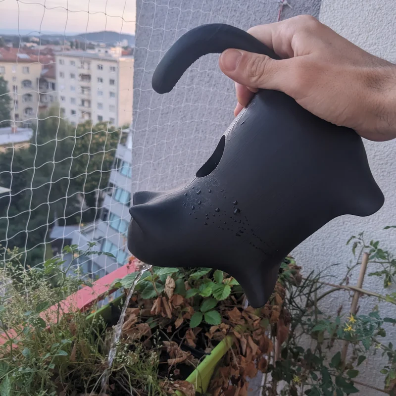 The Watering Cat – Mèo tưới cây