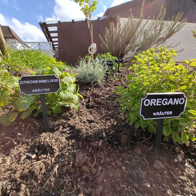 Bảng tên cây/rau cho Hochbeet & vườn (tiếng Đức) – in 2 màu