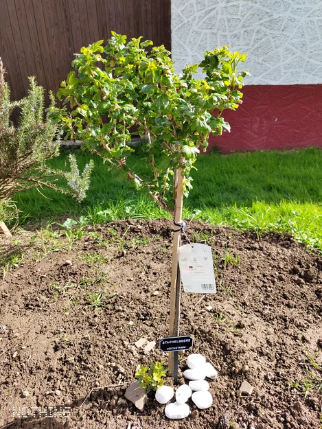 Bảng tên cây/rau cho Hochbeet & vườn (tiếng Đức) – in 2 màu - Image 3